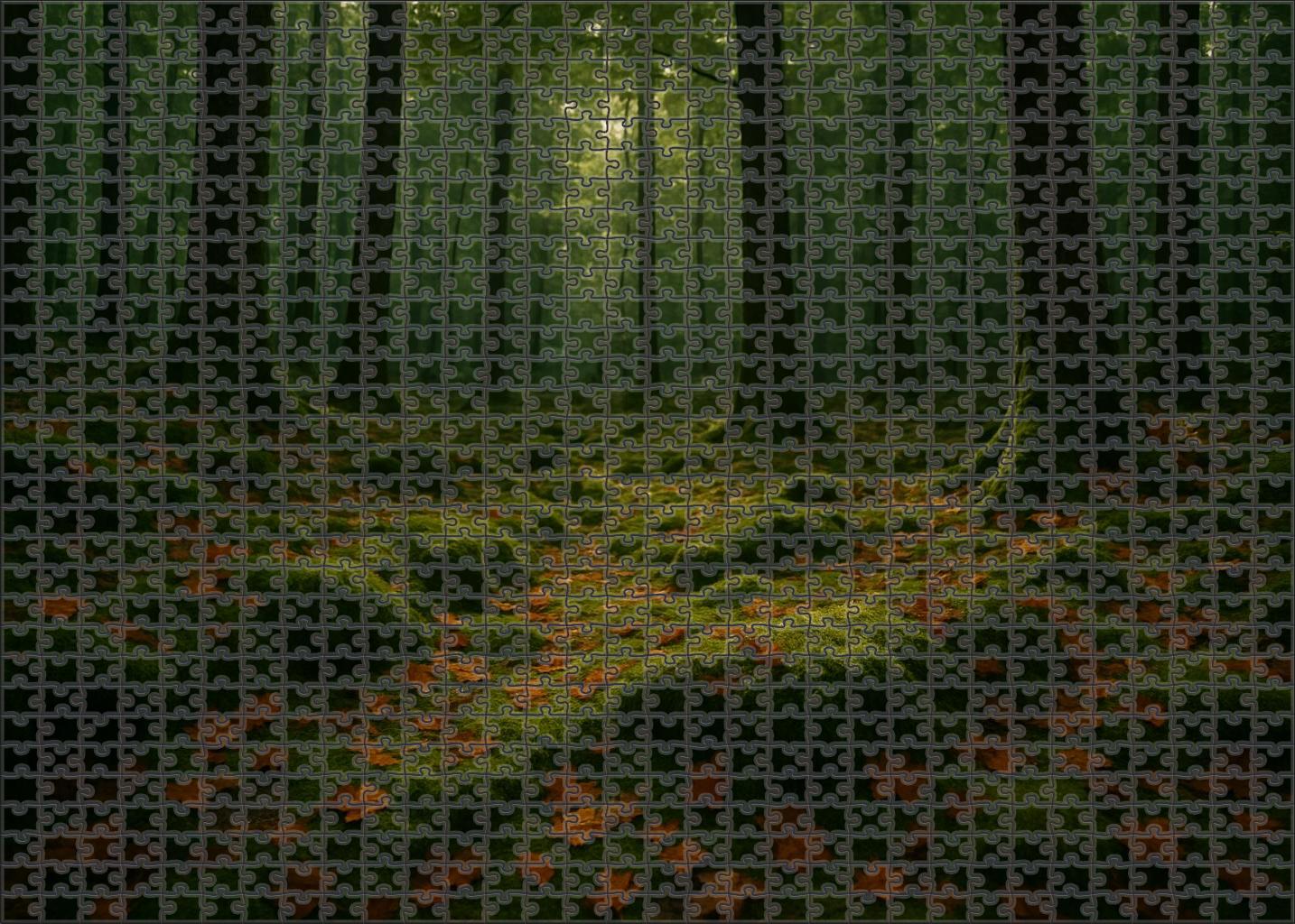 Twilight Grove Hollow Large Format Puzzle