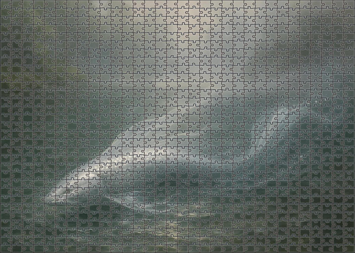 Silvermist Nixie Challenging Puzzles