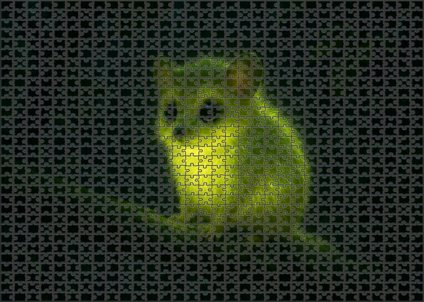 Luminous Velvetback Nocturnal Mammal With Glow-in-the-dark Fur Puzzle Fun