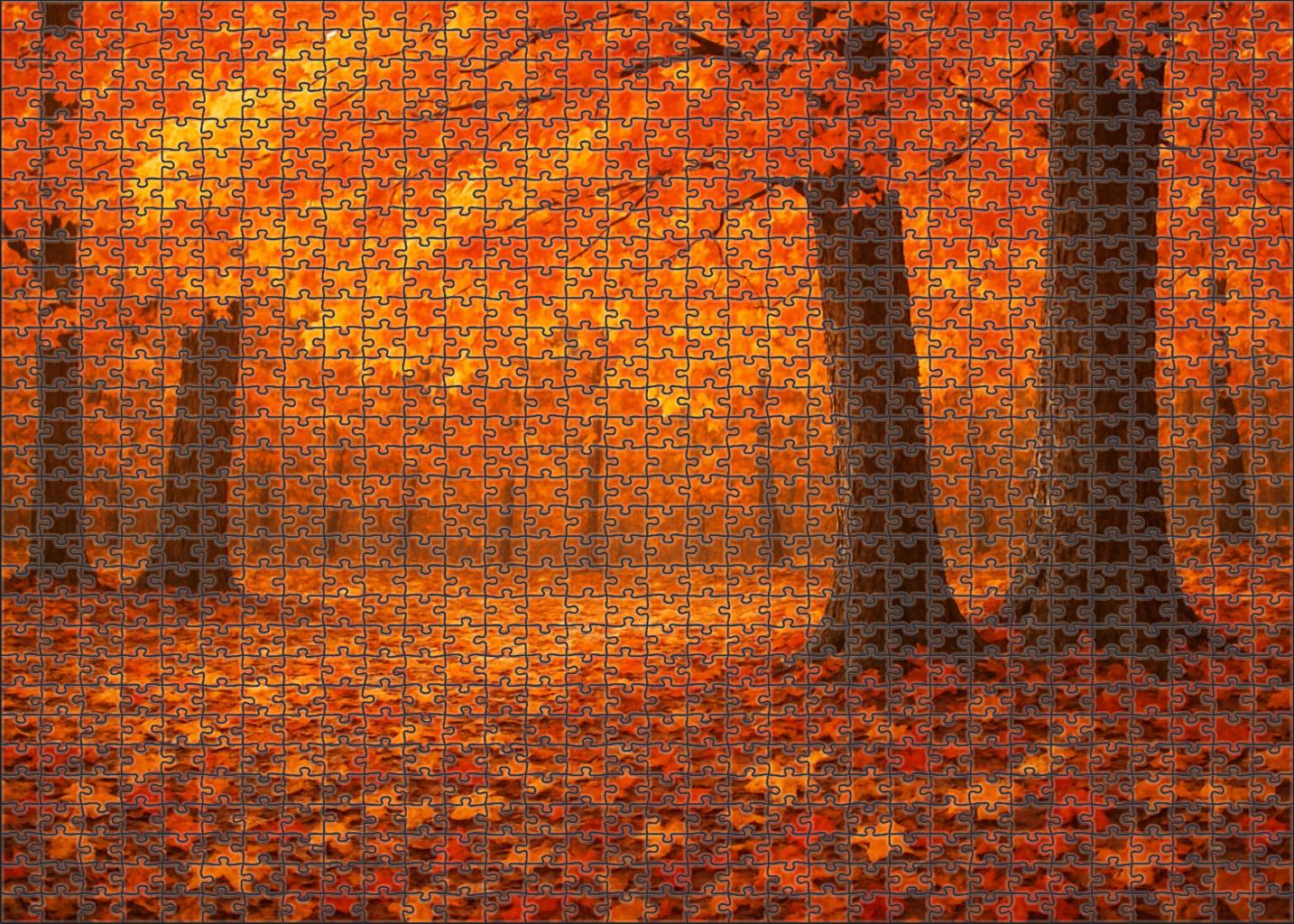 Ember Leaf Enclave Easy Puzzles