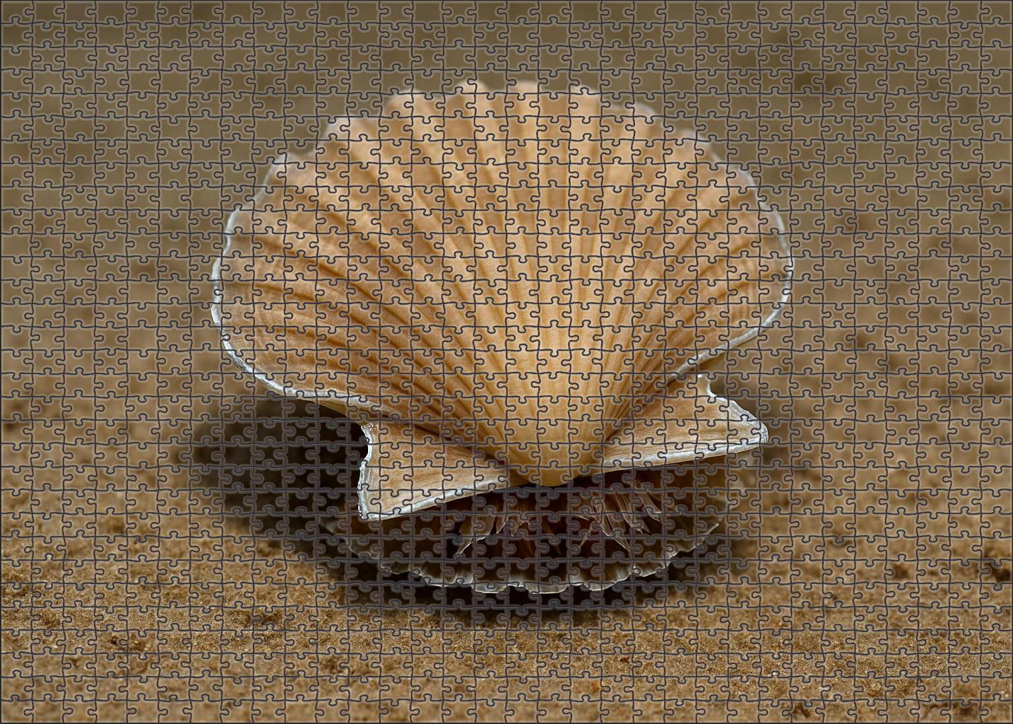 Silver Leaf Scallop Filter-feeding Mollusk With Reflective Shell Edges Mini Puzzle