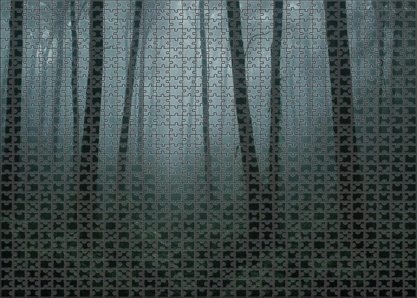 Misty Ridge Thicket Unique Puzzle Design