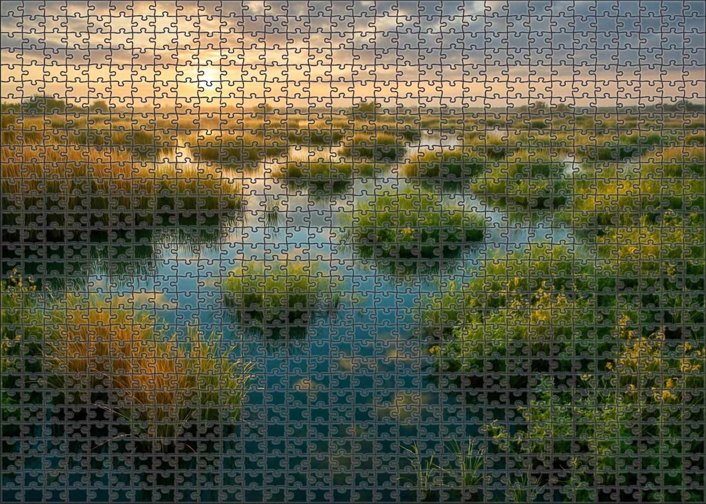 Sapphire Marsh Wetland 200 Piece Puzzle
