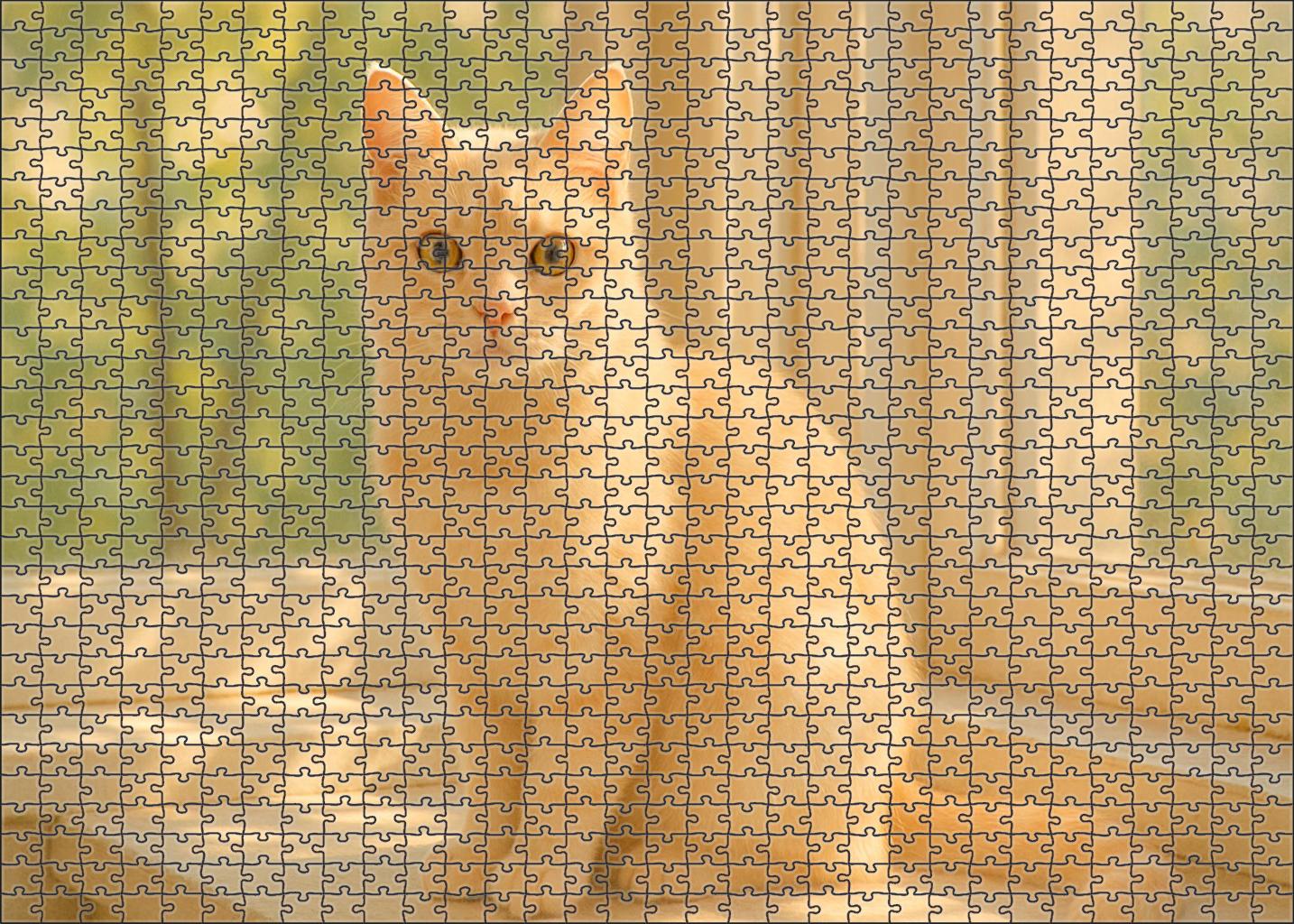 Coral Breeze Delicate Cream And Peach Coat With Gentle Temperament Mini Puzzle