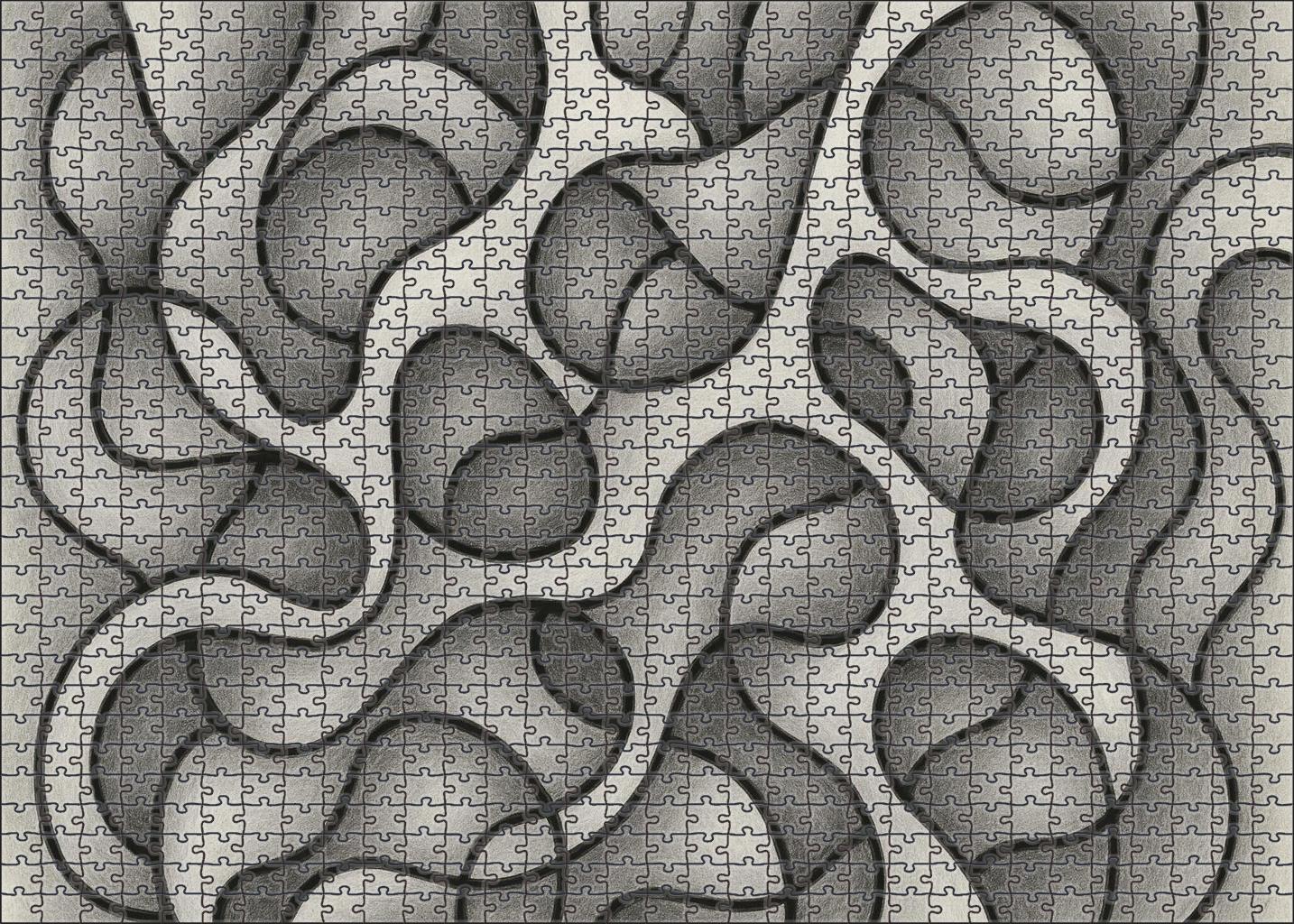Abstract Organic Form Exploration Graphite And Ink Mixed Media Lines Puzzle For Kids