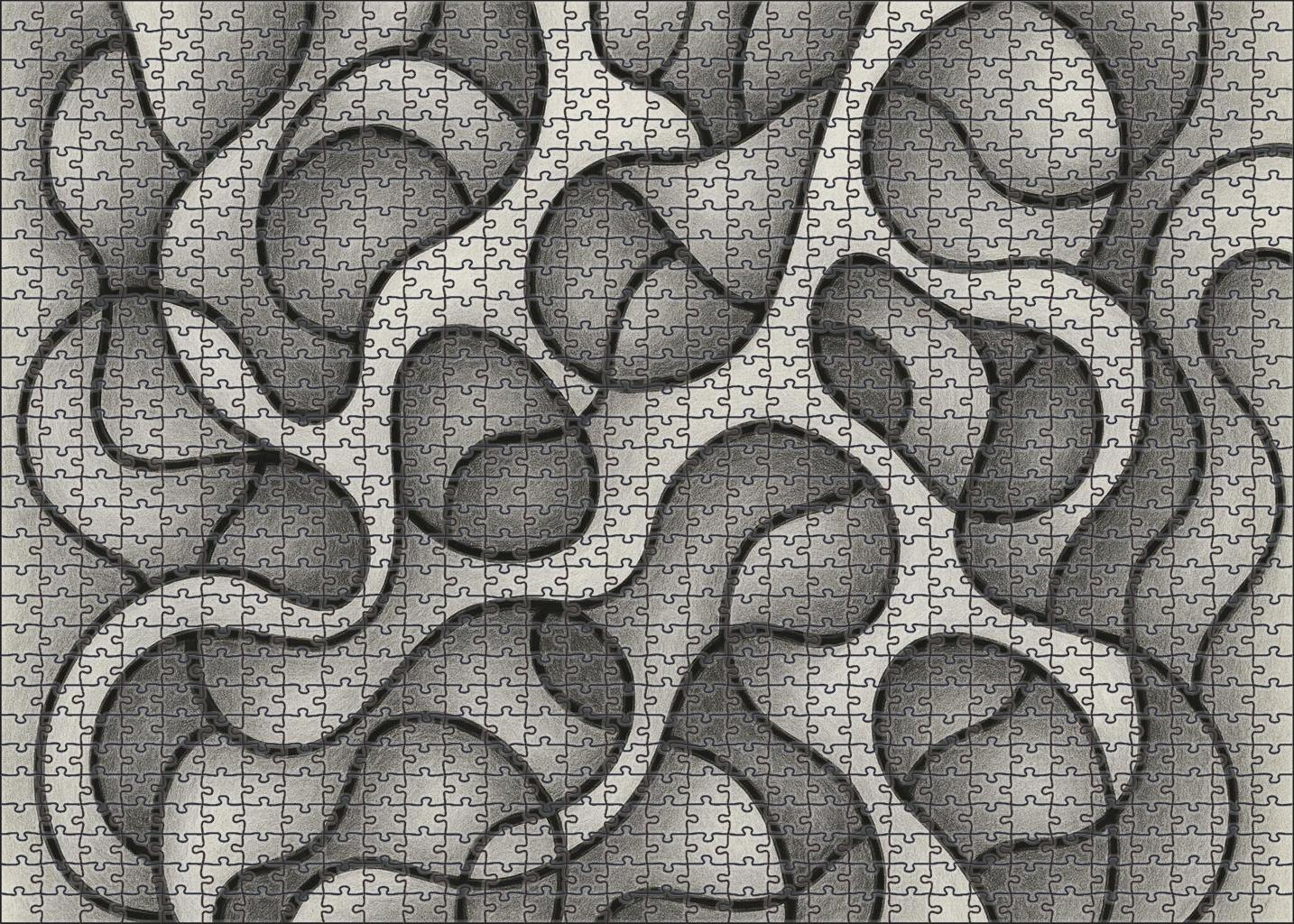 Abstract Organic Form Exploration Graphite And Ink Mixed Media Lines Puzzle For Kids