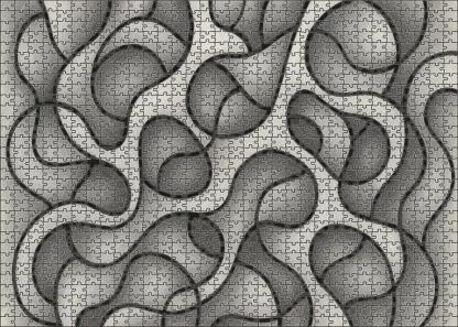 Abstract Organic Form Exploration Graphite And Ink Mixed Media Lines Puzzle For Kids