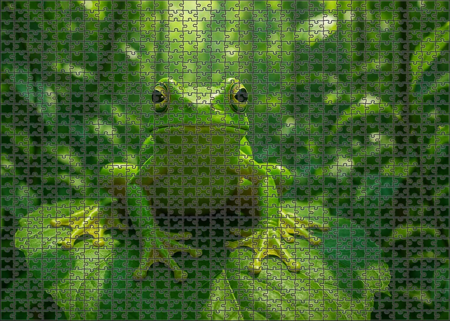 Verdant Crest Hopper Vibrant Arboreal Amphibian With Expansive Webbed Feet Puzzle For Adults