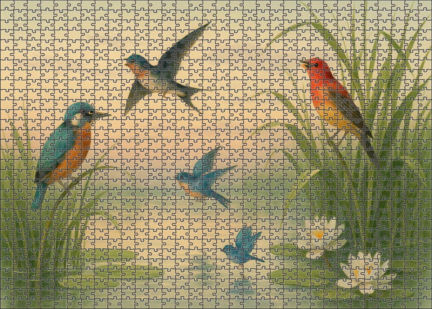 Crystal Bay Wetlands Puzzle Collection