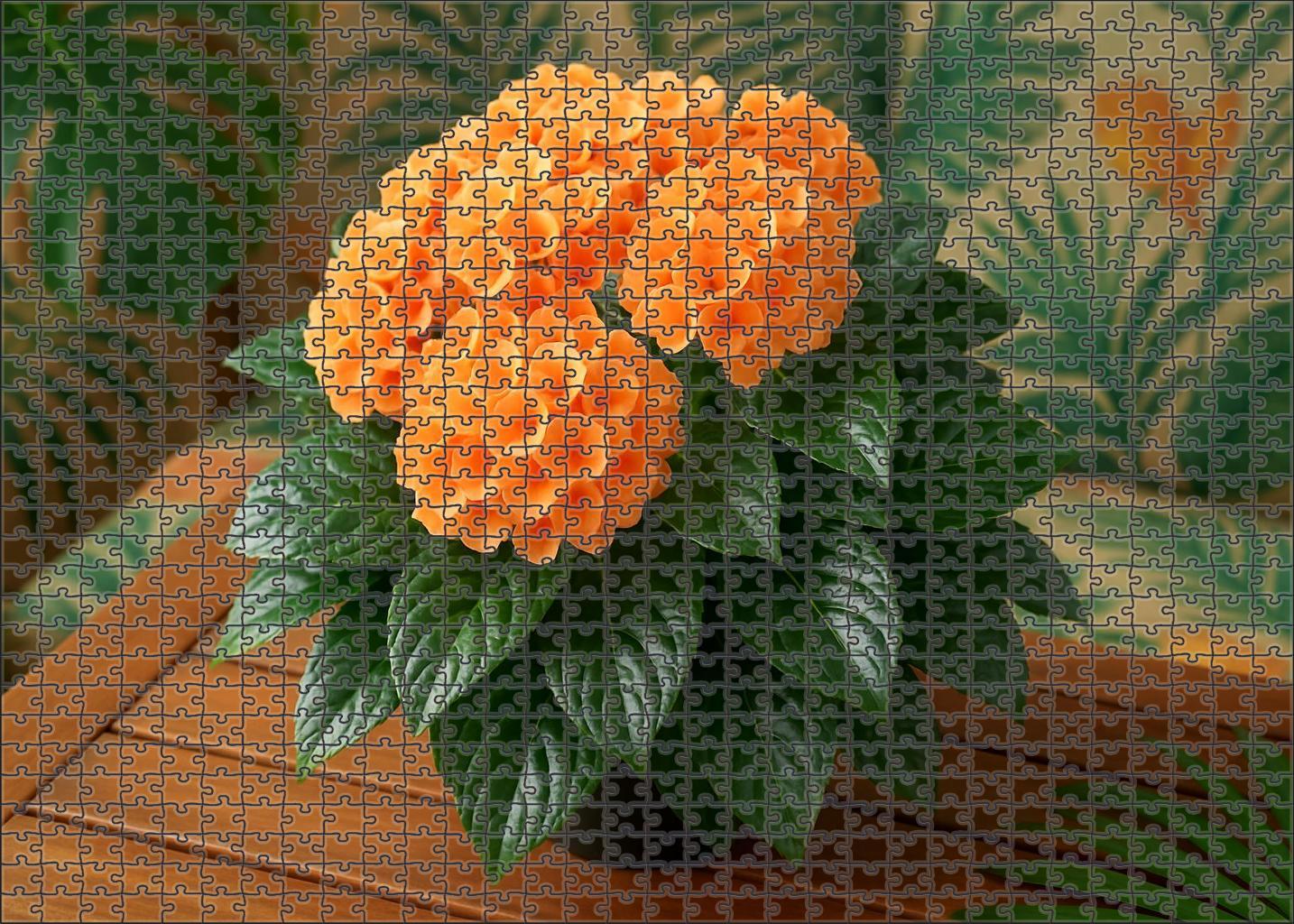 Coral Reef Tabletop Clustered Orange And Peach Blooms With Glossy Green Leaf Accents 50 Piece Puzzle