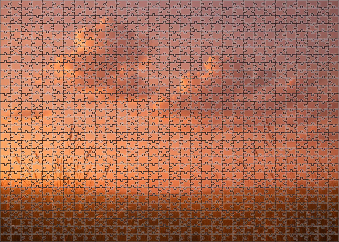 Rose Gold Twilight 100 Piece Puzzle