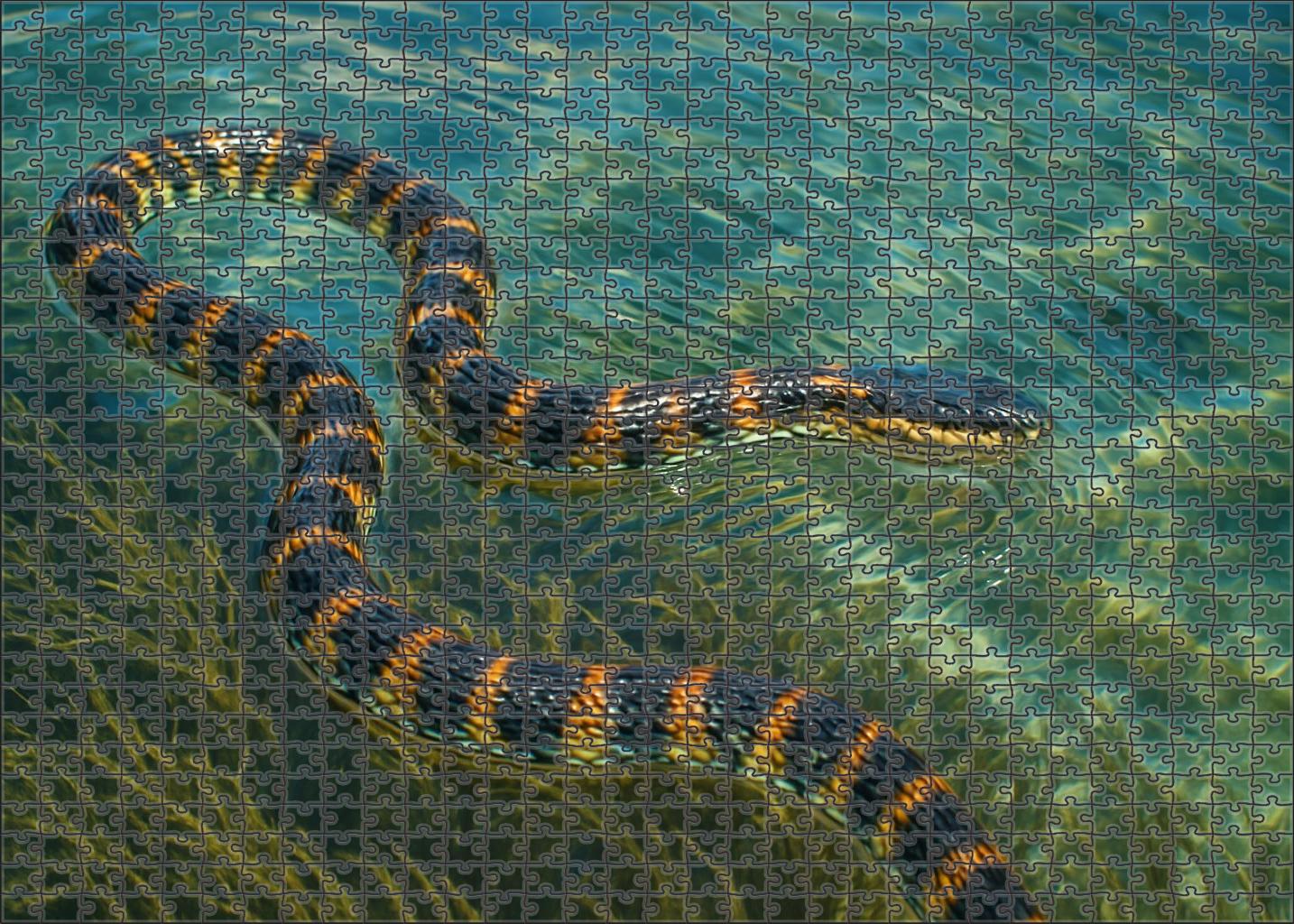 Celestial Ribbon Serpent Slender Aquatic Reptile With Iridescent Scale Bands Mini Puzzle