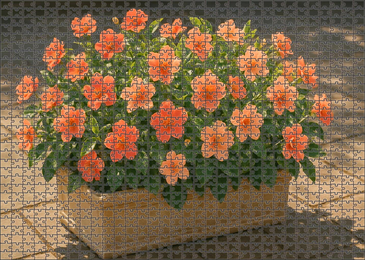 Coral Reef Patio Planter 200 Piece Puzzle