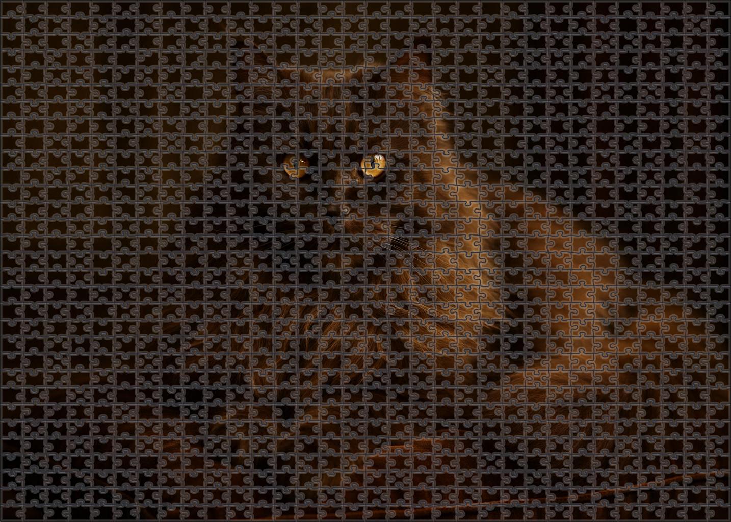 Sable Velvet Rich Brown Longhair With Loyal Temperament Unique Puzzle Design
