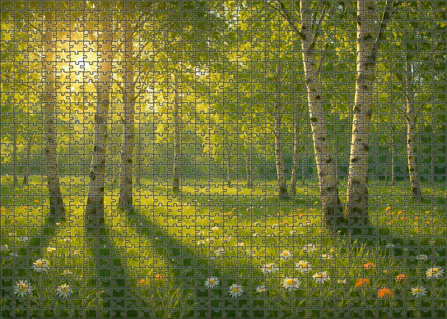 Sunlit Aspen Hollow Easy Puzzles