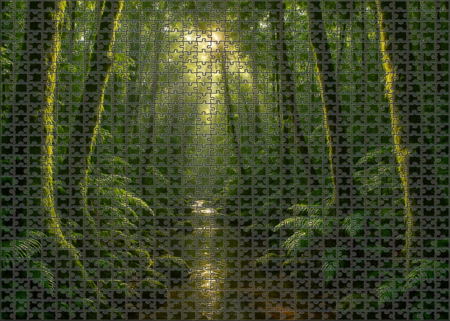 Emerald Rainforest Glade 50 Piece Puzzle