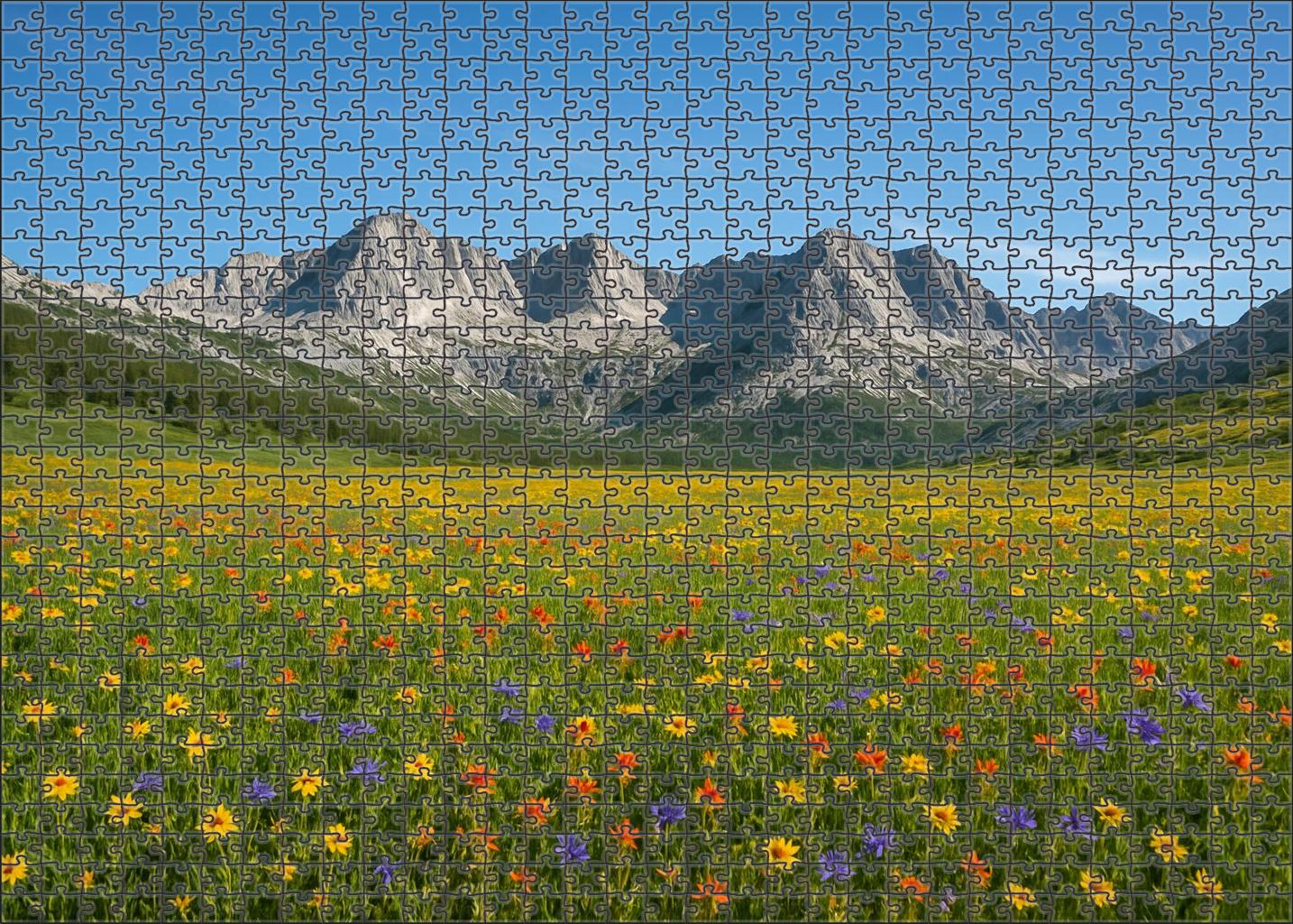 Sunlit Alpine Meadow Plateau Large Format Puzzle
