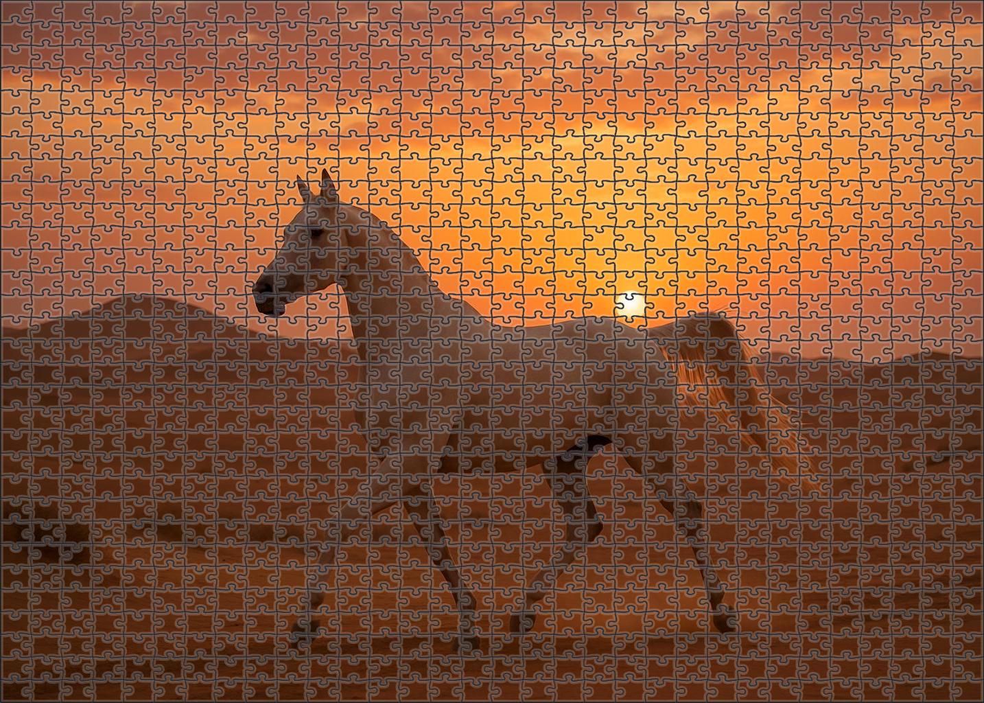 Ivory Breeze Arabian Gelding 1000 Piece Puzzle