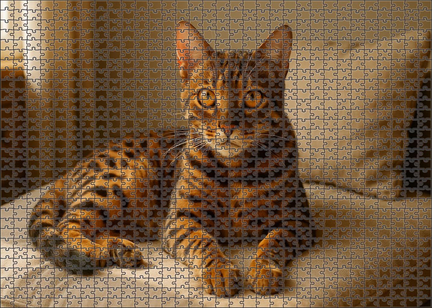 Chocolate Chip 200 Piece Puzzle