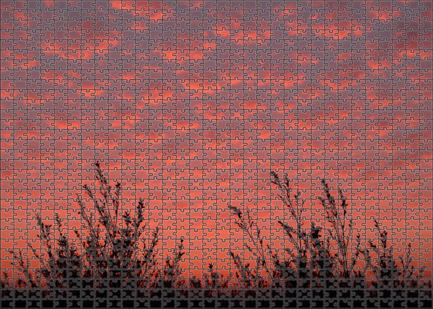 Twilight Coral Radiance Premium Puzzle Pieces