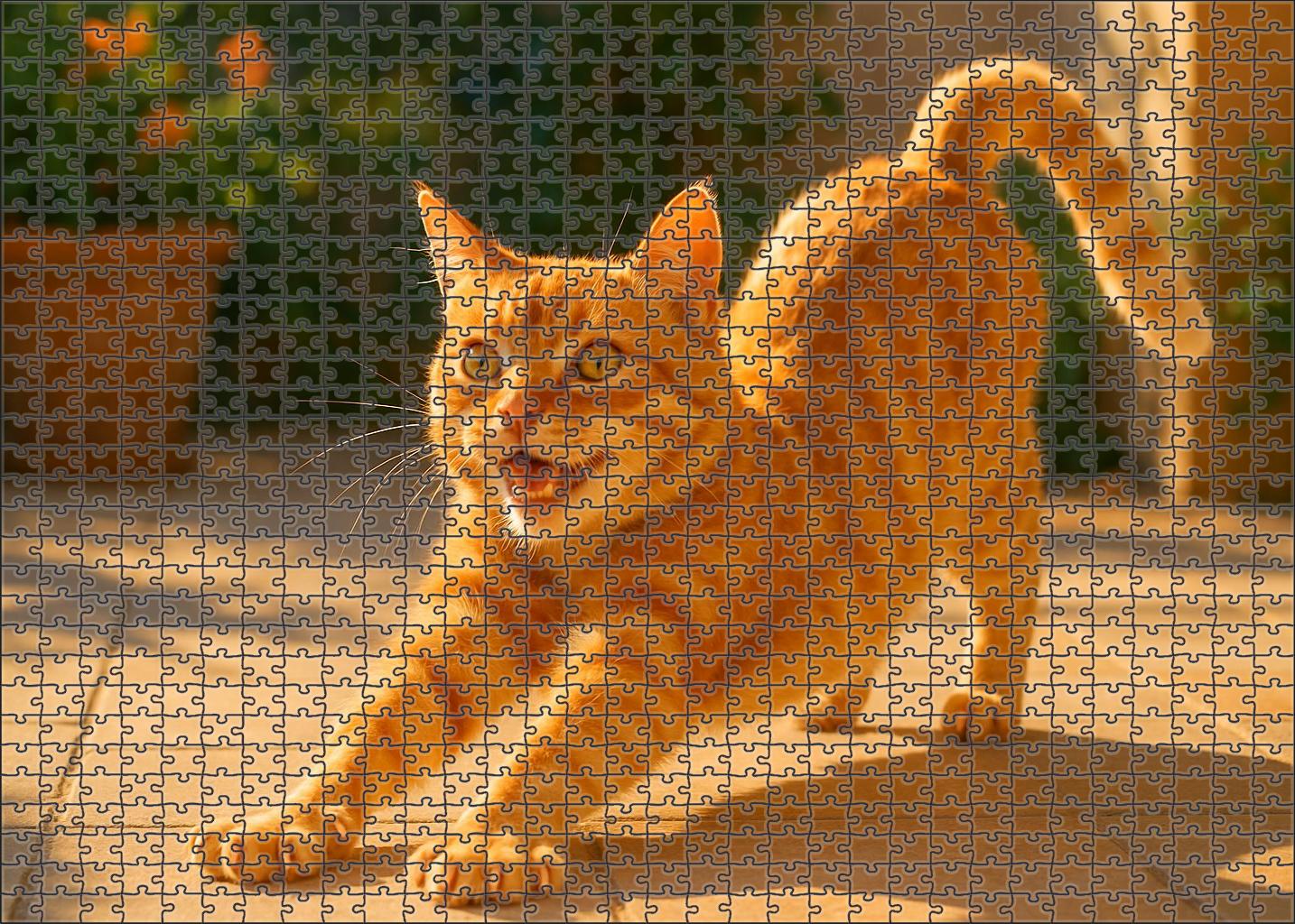 Sunfire Amber 50 Piece Puzzle