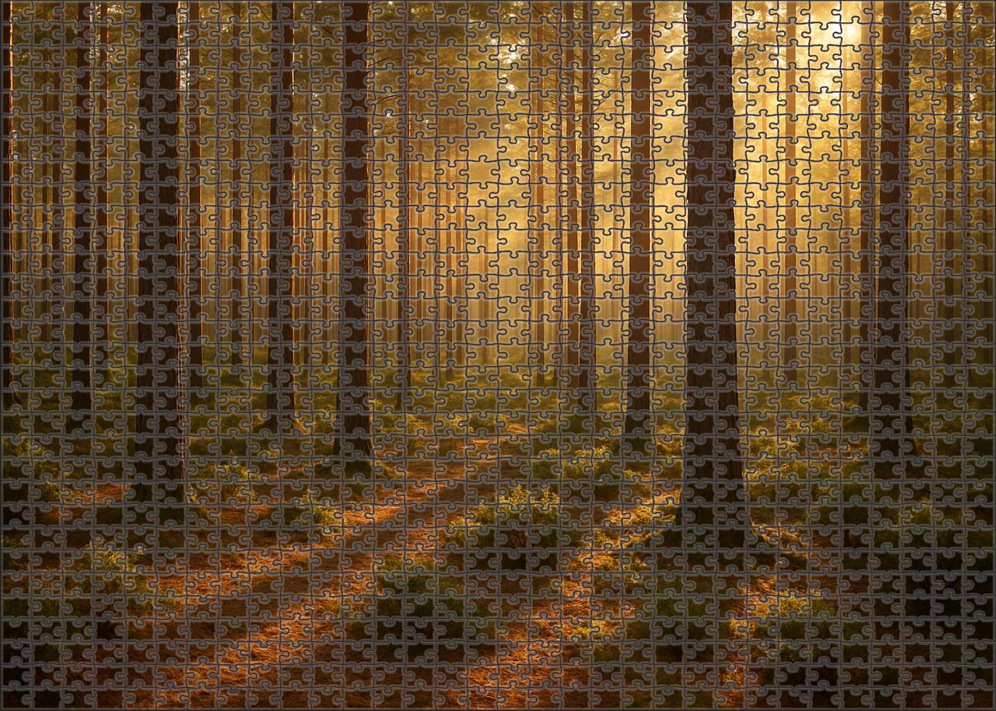 Dappled Pine Glimmer Easy Puzzles