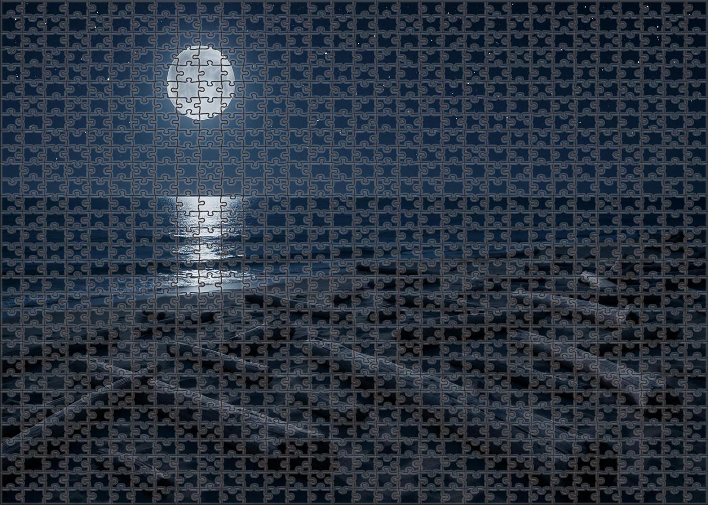 Moonlit Driftwood Bay Mini Puzzle