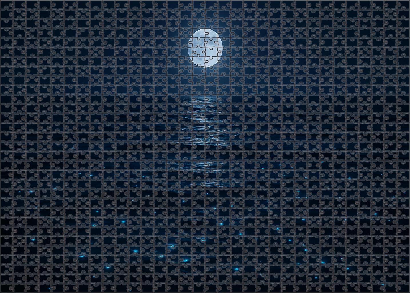 Moonlit Surface Drift Custom Jigsaw Puzzle