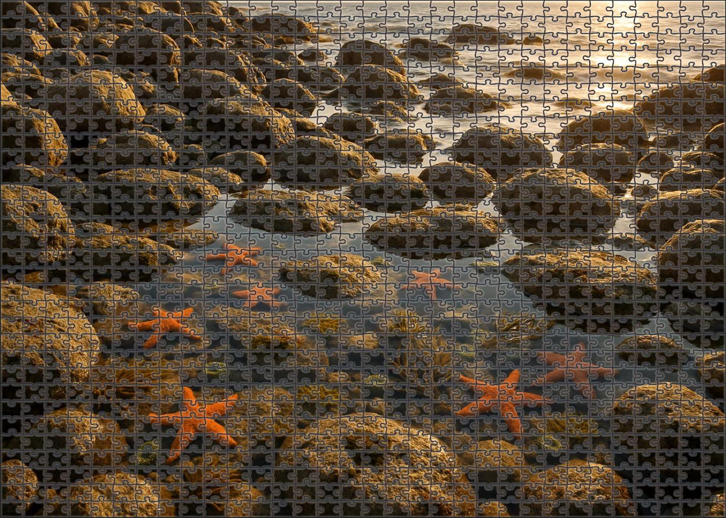Mystic Tide Pools 100 Piece Puzzle