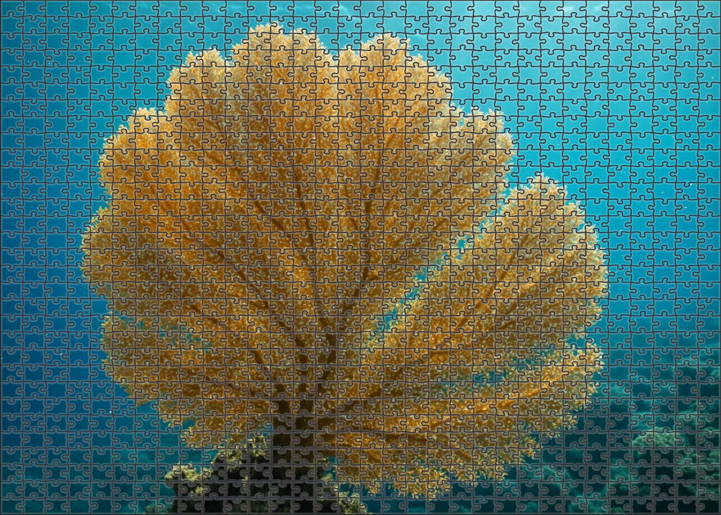 Golden Fan Coral Colonial Cnidarian With Radiant Fan-shaped Growth 300 Piece Puzzle