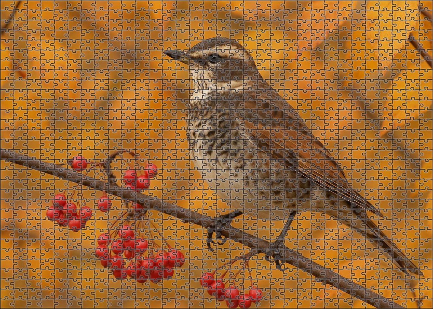 Dusky Thrush The Autumn Songster Premium Puzzle Pieces
