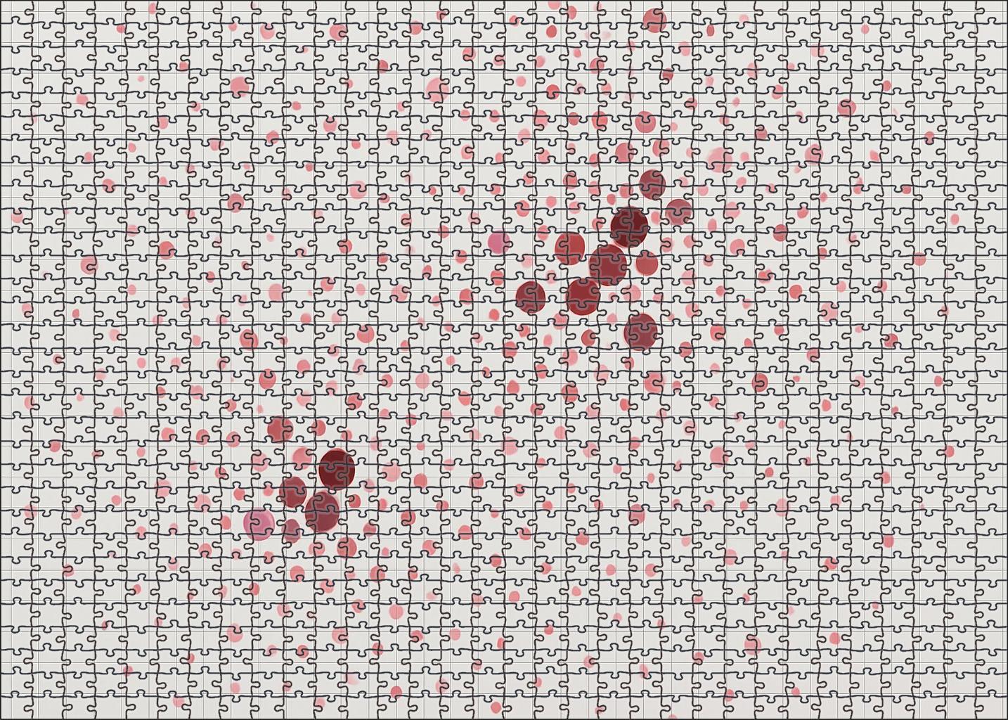 Population Cluster Dot Map Puzzle Collection