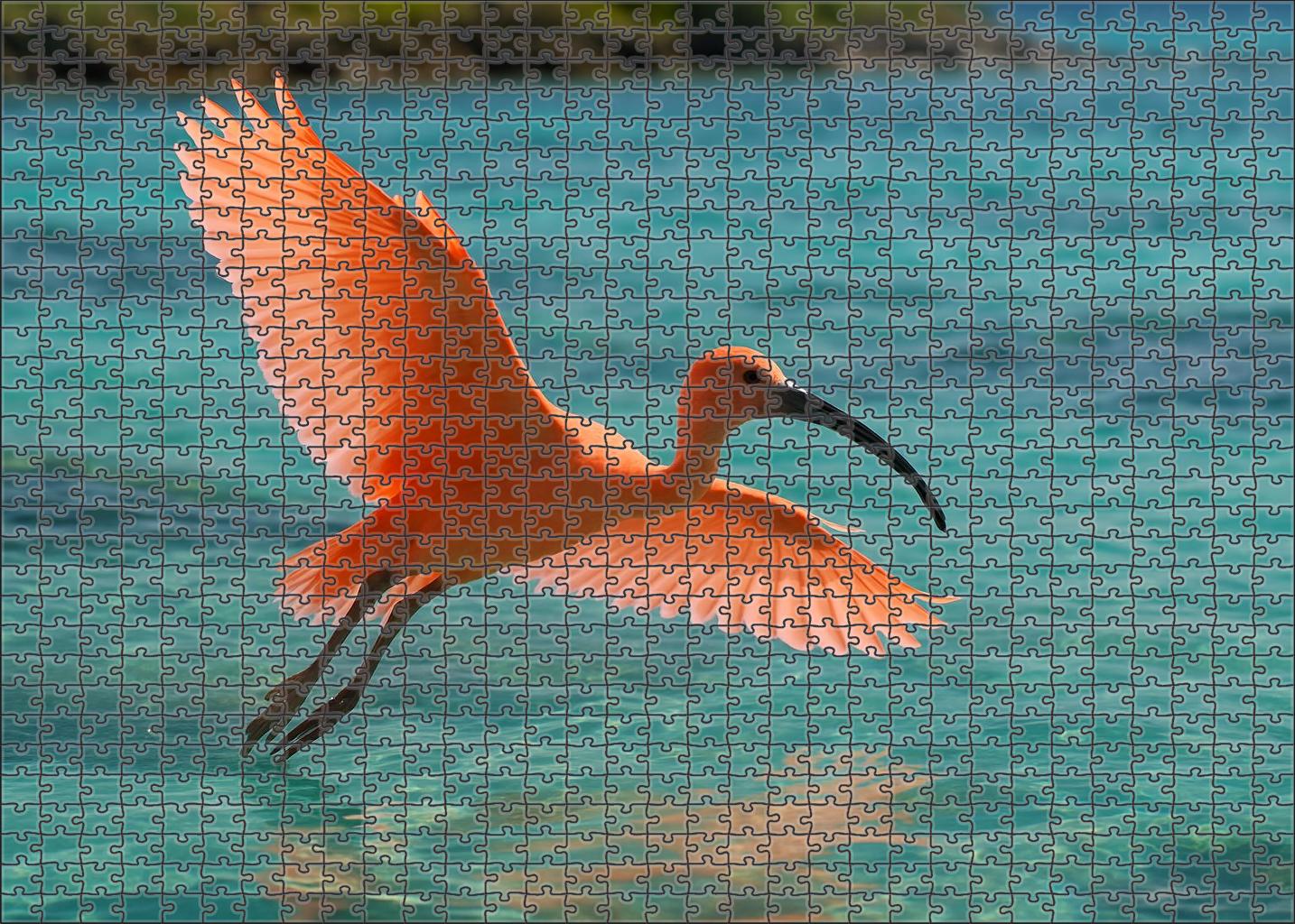 Coralwing Seraph 20 Piece Puzzle