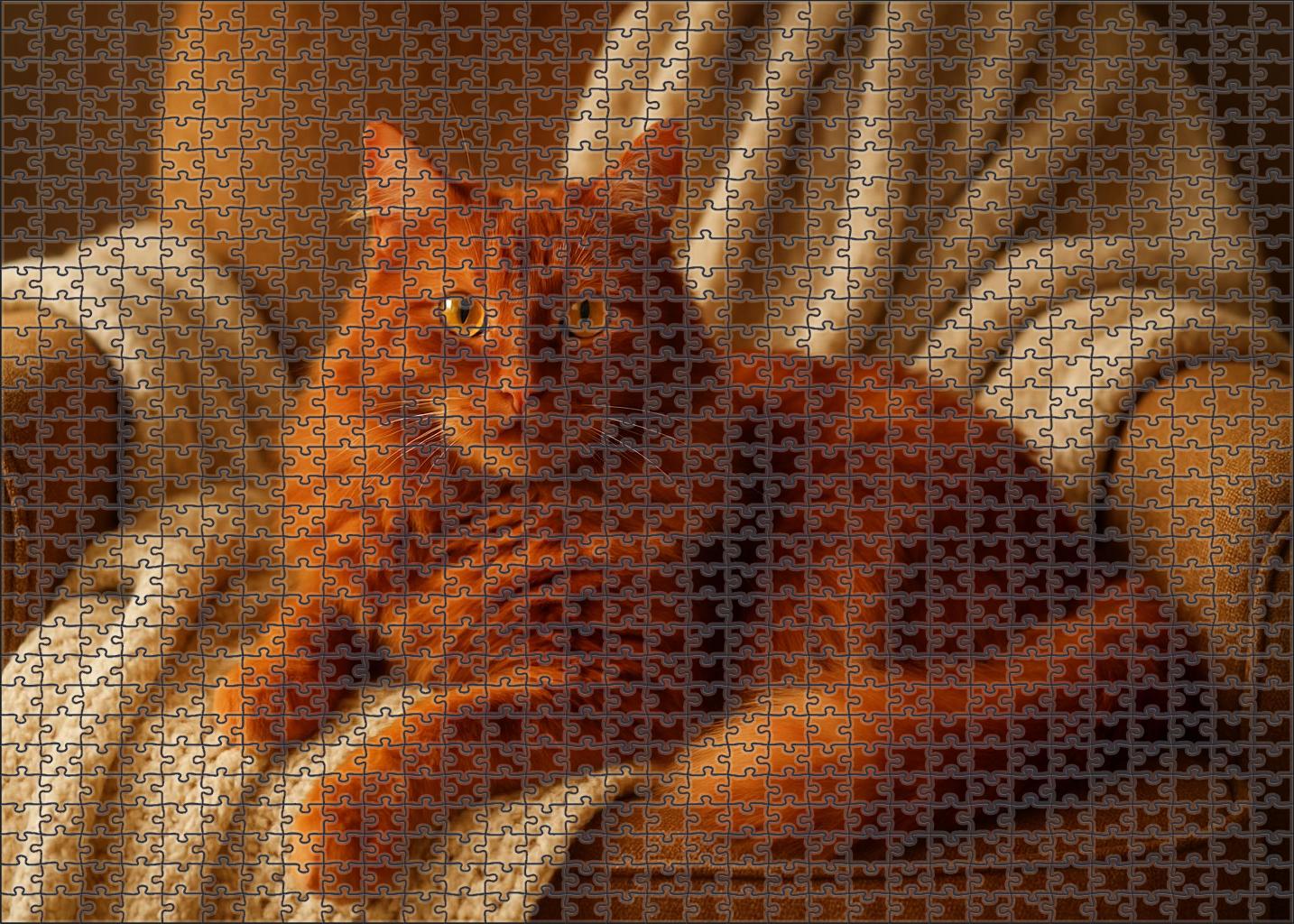 Crimson Whisper Rich Red Fur With Affectionate Charm Puzzle Fun