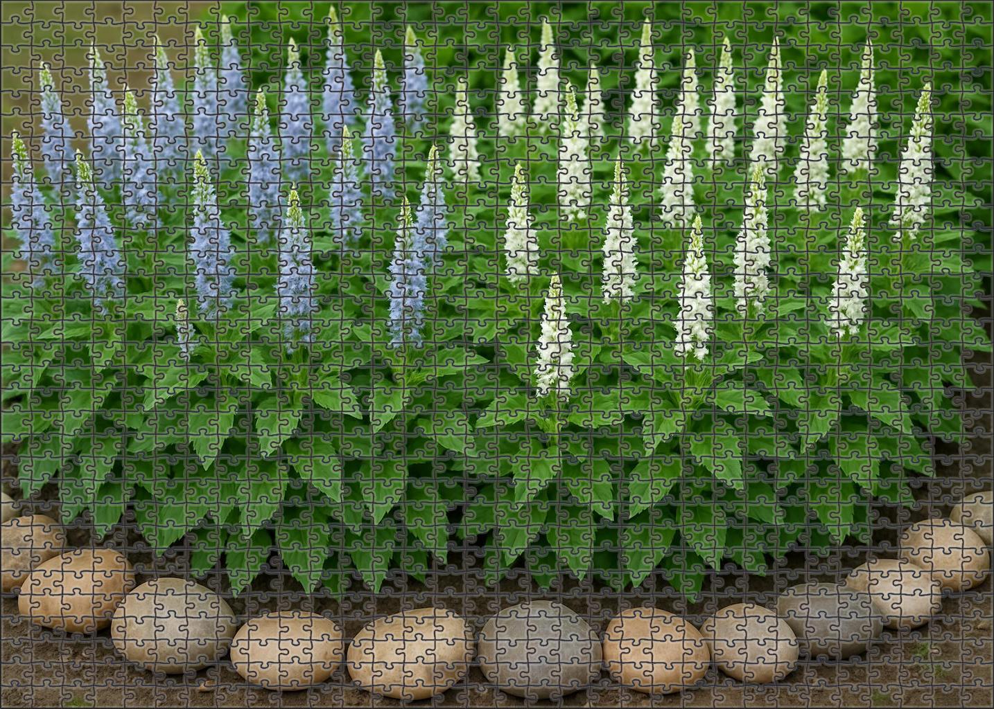 Serene Herb Garden Border Puzzle Collection