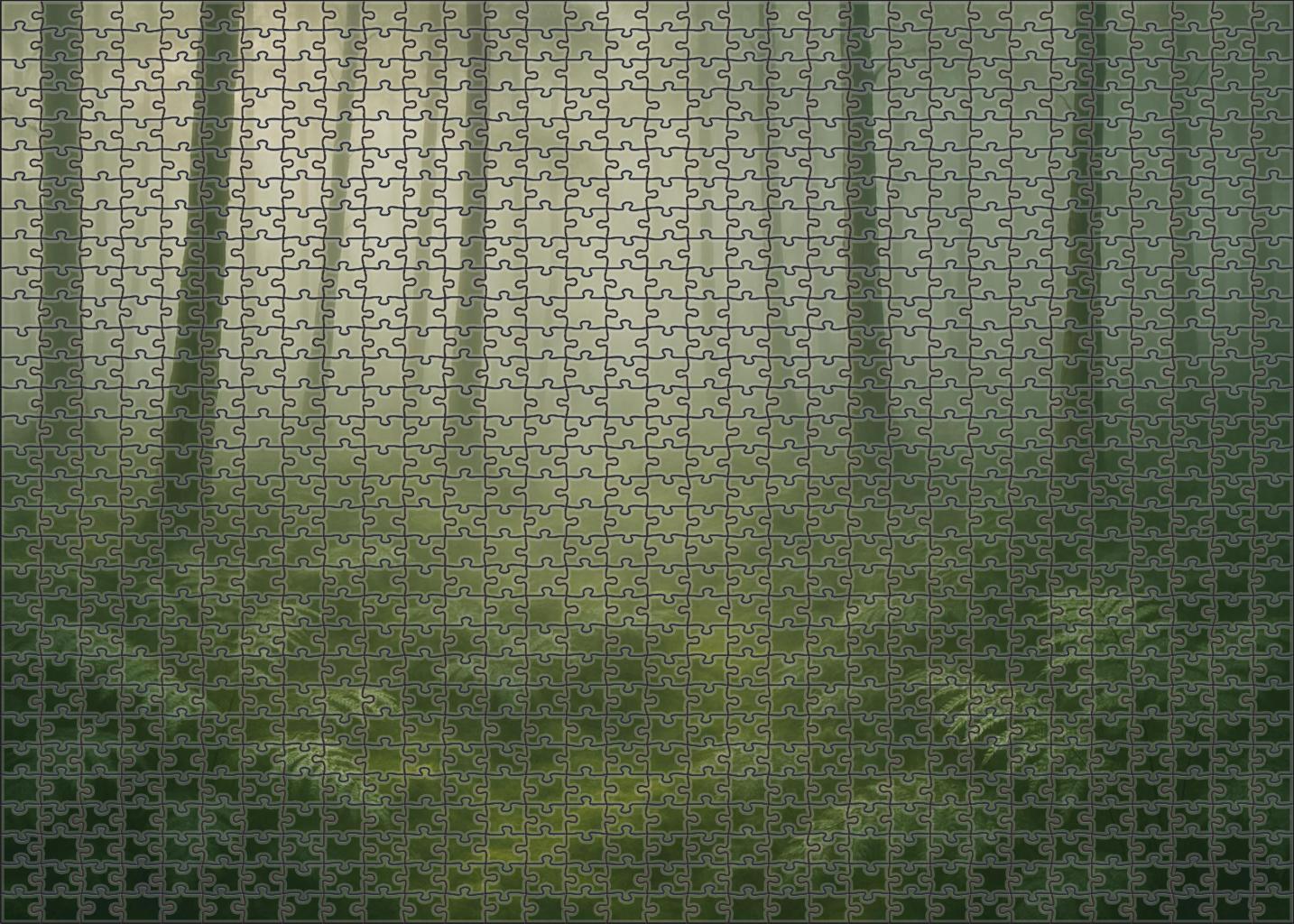 Veiled Mistwood Glade Easy Puzzles