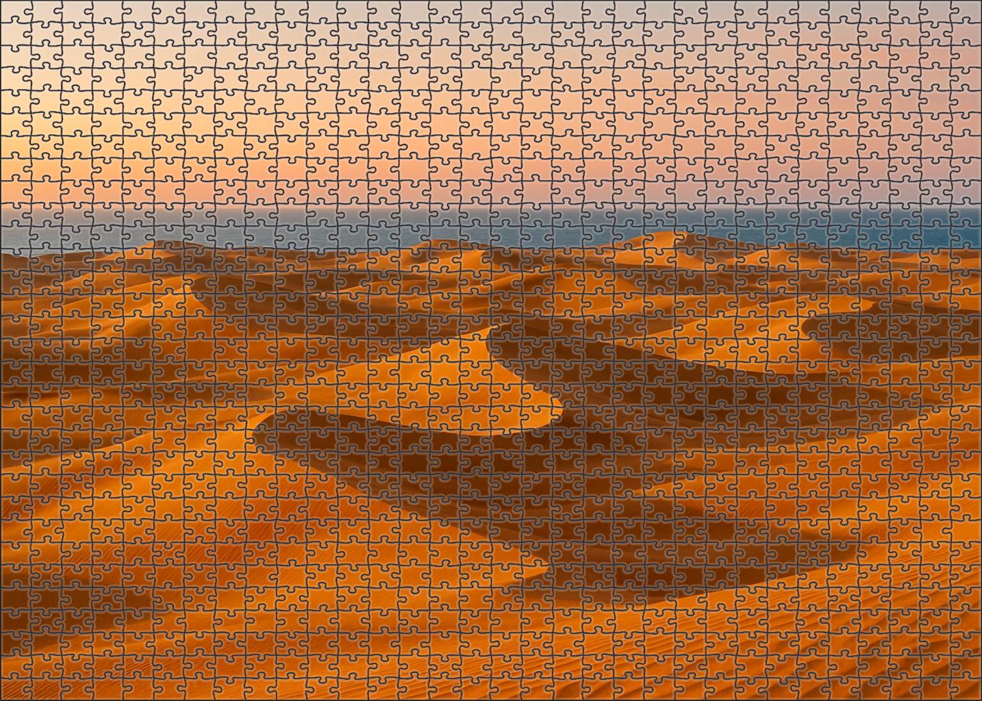 Golden Drift Dunes 20 Piece Puzzle