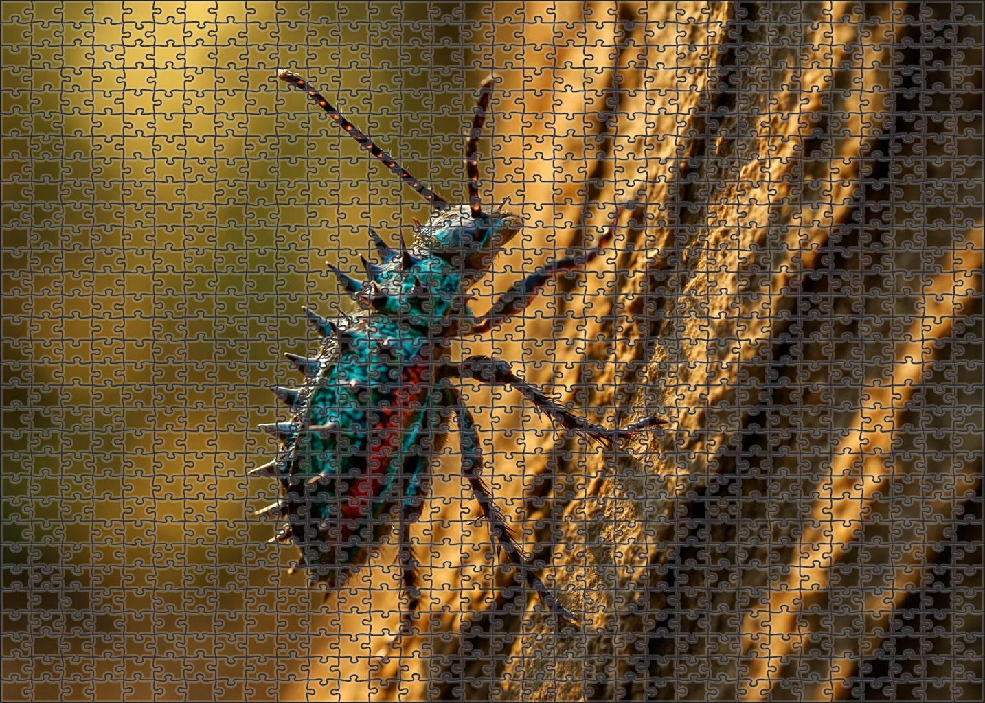 Amber Thorn Beetle 300 Piece Puzzle