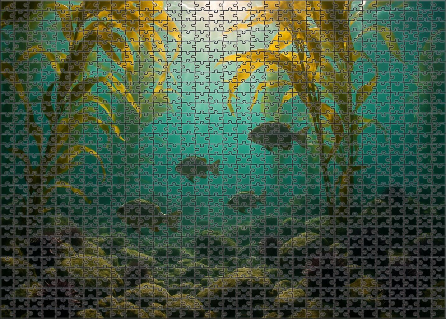 Emerald Kelp Forest Corridor 500 Piece Puzzle