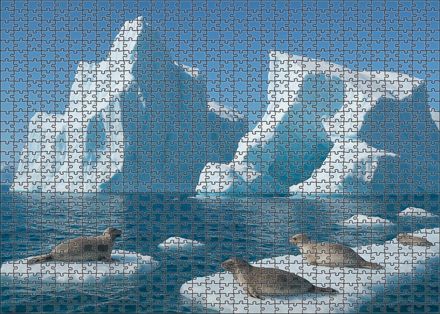 Frosted Iceberg Edge 300 Piece Puzzle