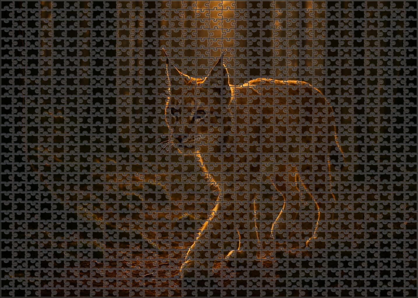 Sunshadow Lynx Premium Puzzle Pieces