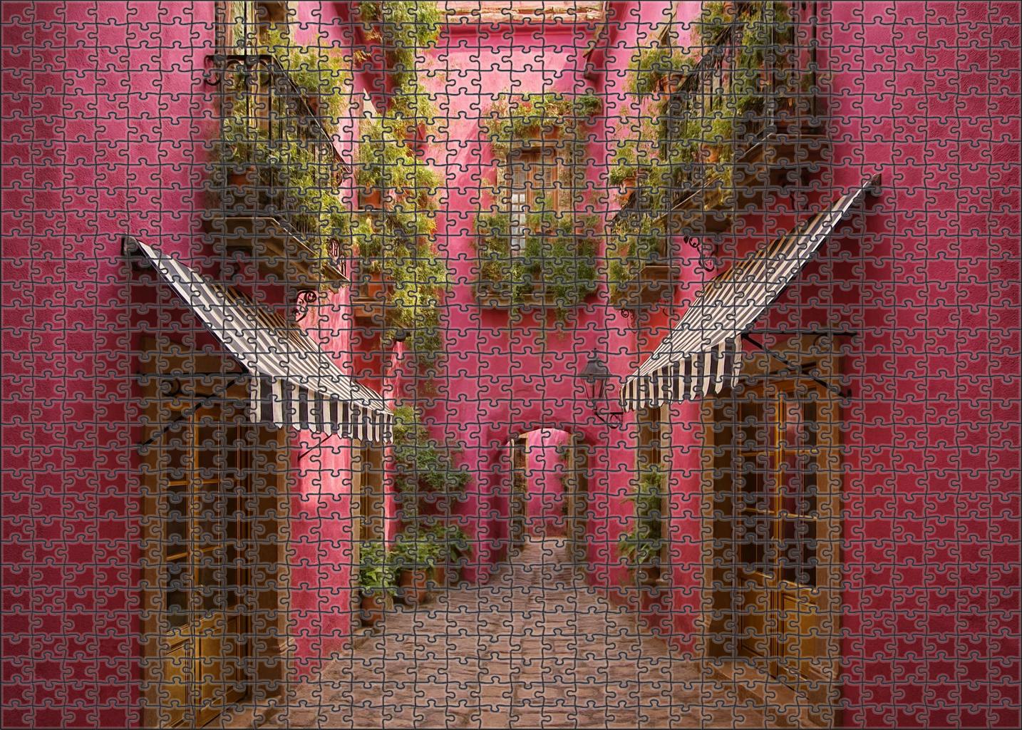 Cerise Passage 300 Piece Puzzle