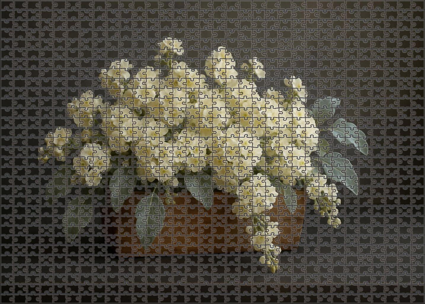 Ivory Cascade Centerpiece 200 Piece Puzzle
