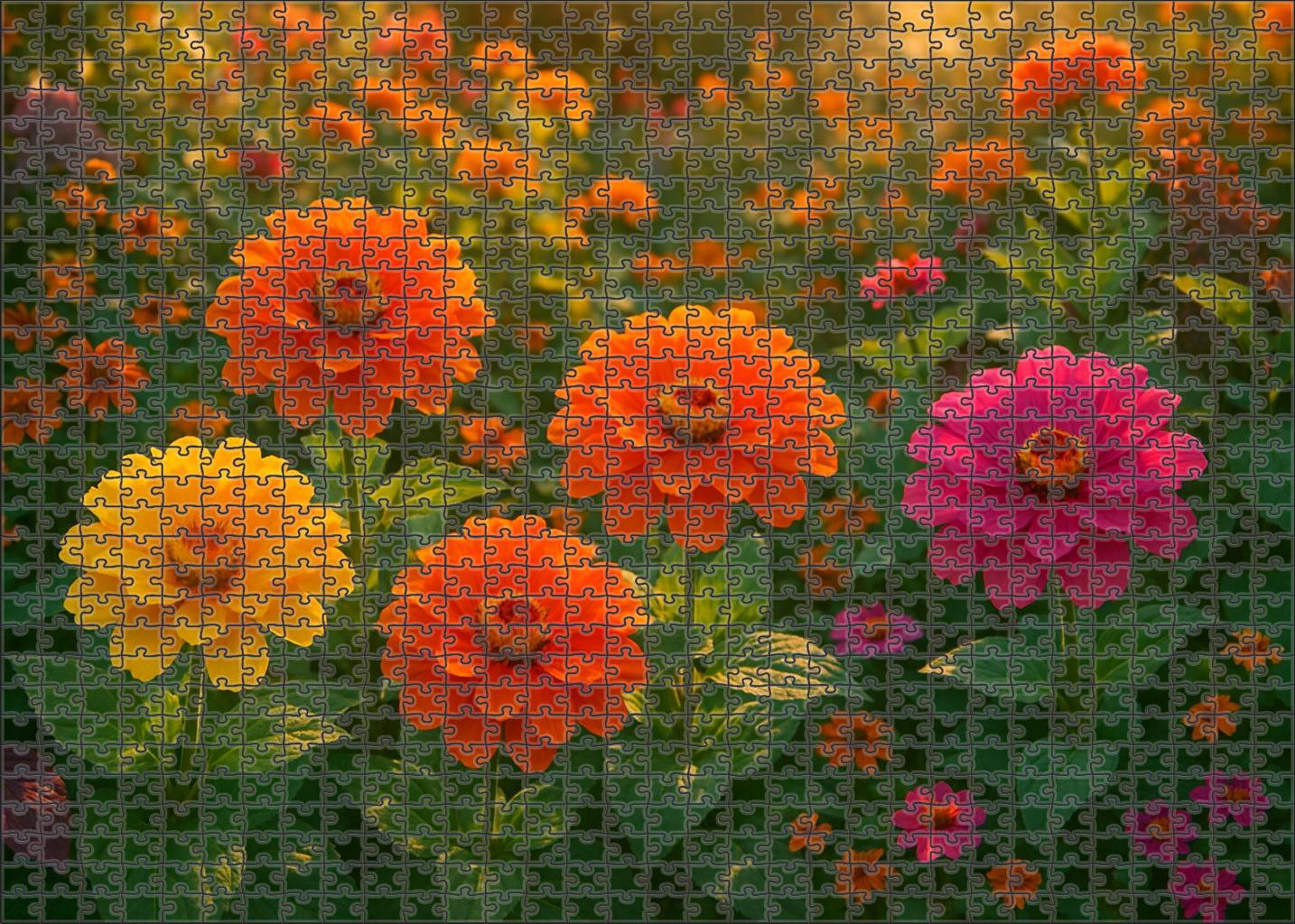 Tropical Sunset Garden Bed Family Puzzles