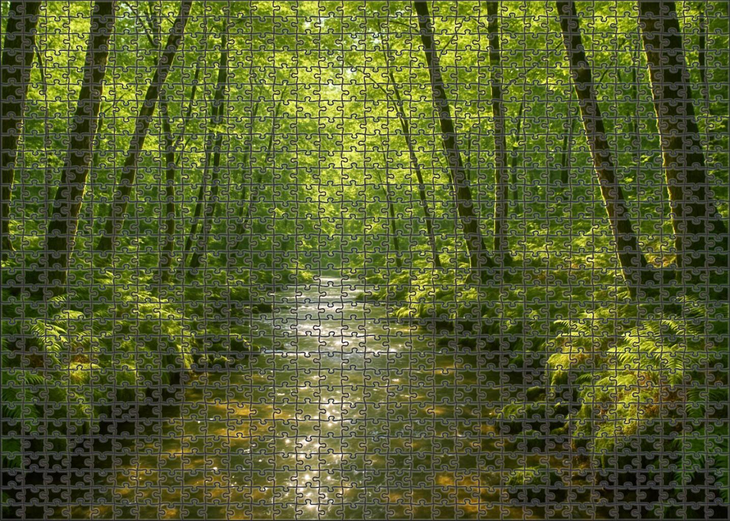 Crystal Streamwood 100 Piece Puzzle