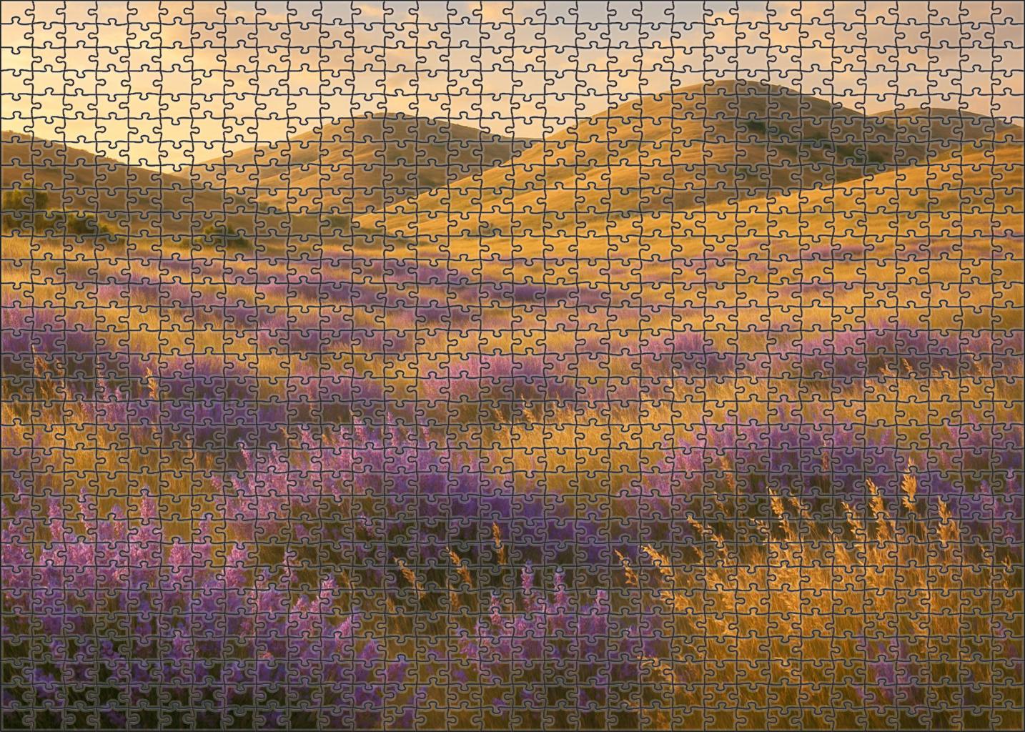 Lavender Meadow Glow Premium Puzzle Pieces