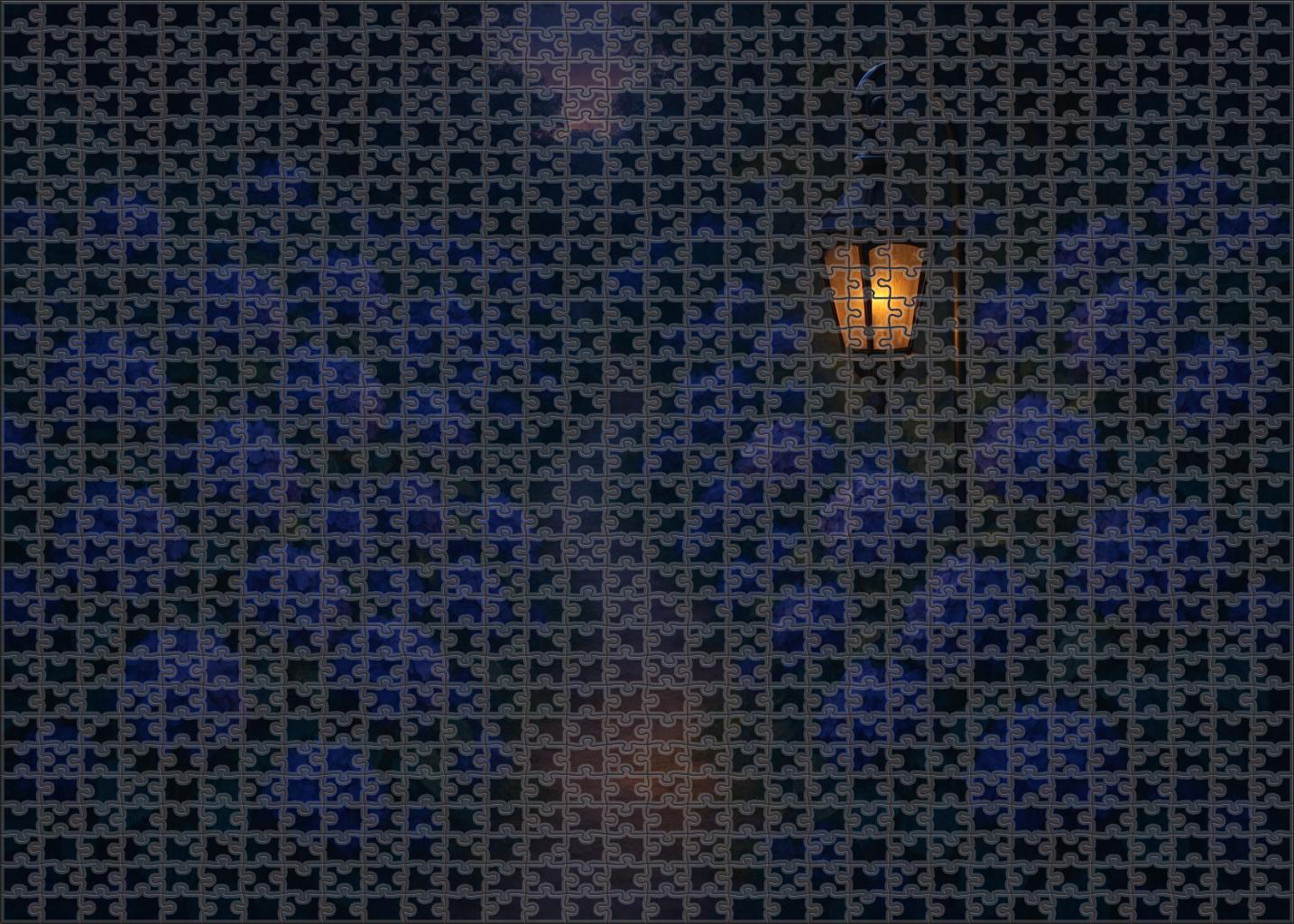 Midnight Garden Pathway Puzzle Collection