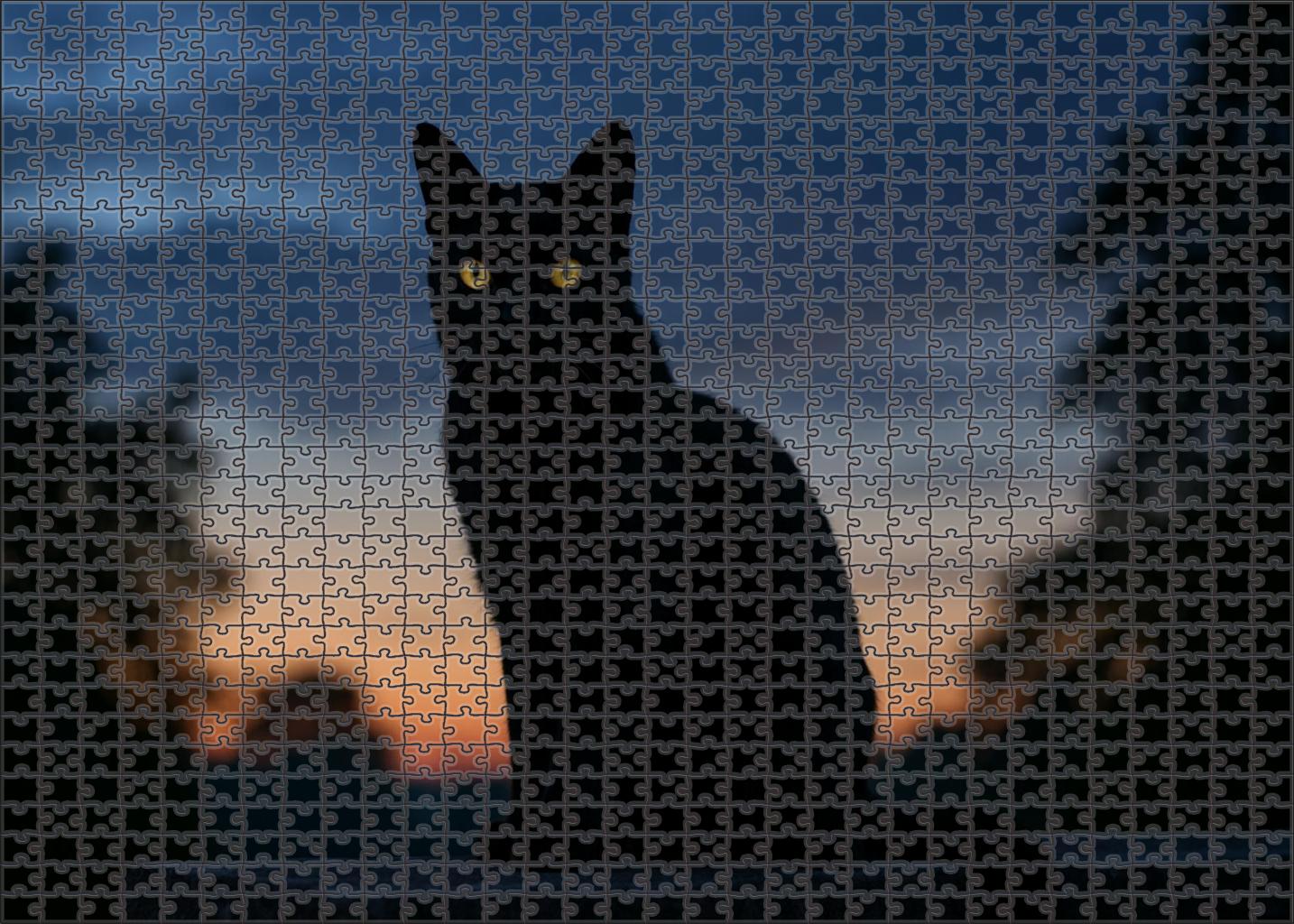 Shadow Whisper Midnight Coat With Mysterious Poise Mini Puzzle