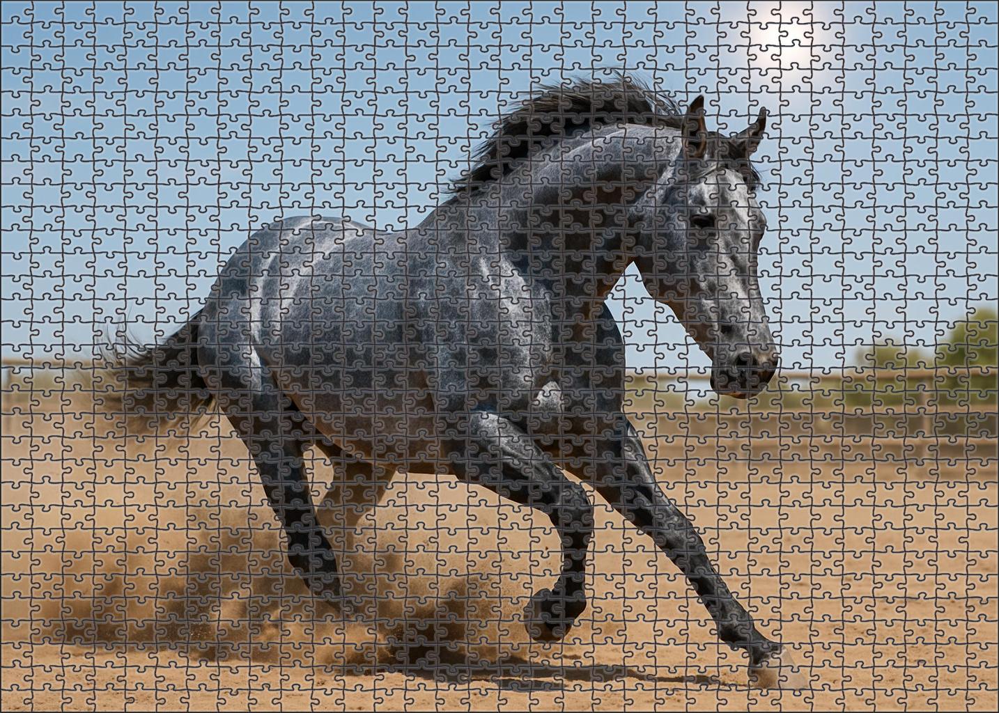 Silver Moonlight Striking Blue Roan Gelding With Nimble Agility Puzzle For Kids