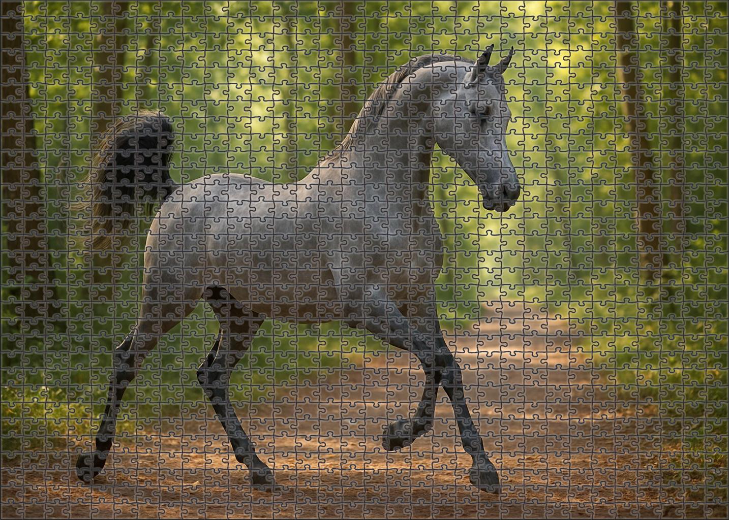 Whispering Willow Graceful Gray Arabian Mare With Floating Canter Puzzle For Kids